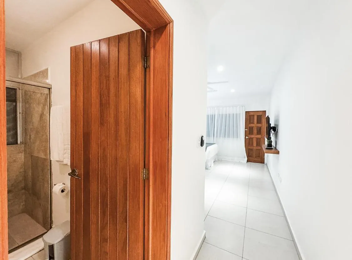 Magic Penthouse In Mamitas Beach بلايا ديل كارمن